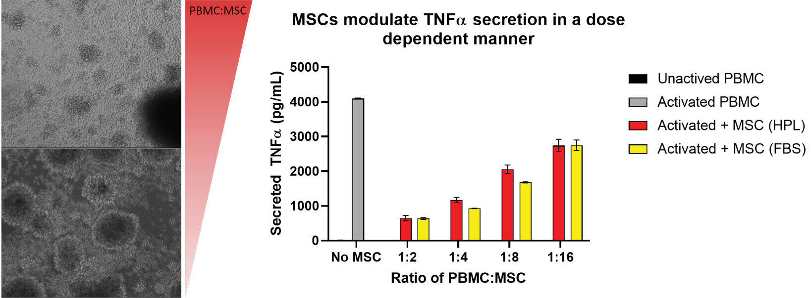 Non-Clinical: Biological Studies