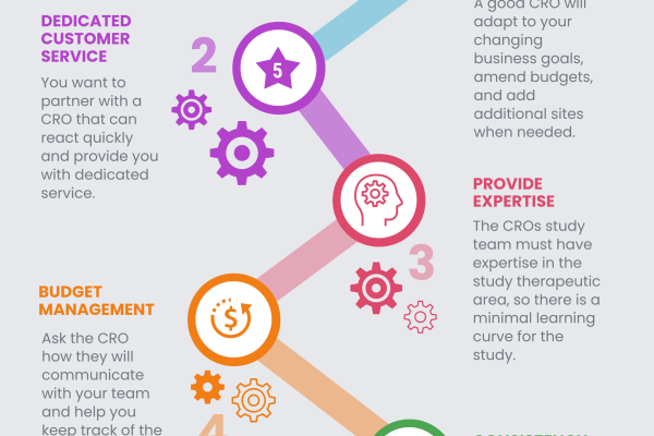 Infographic: 5 Benefits of Partnering with a Mid-Sized CRO